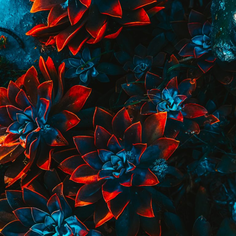 freelance-kunstner-blomster-4